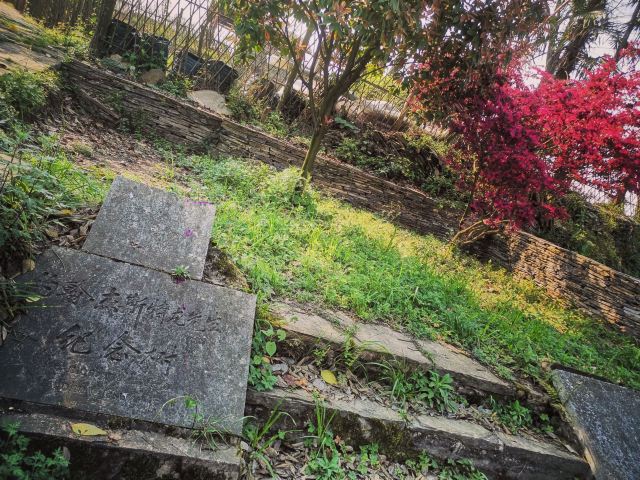 镇山村-千年古井旅行图片 10