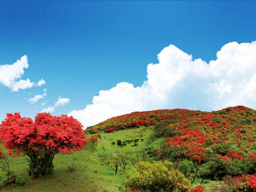 八卦脑景区
