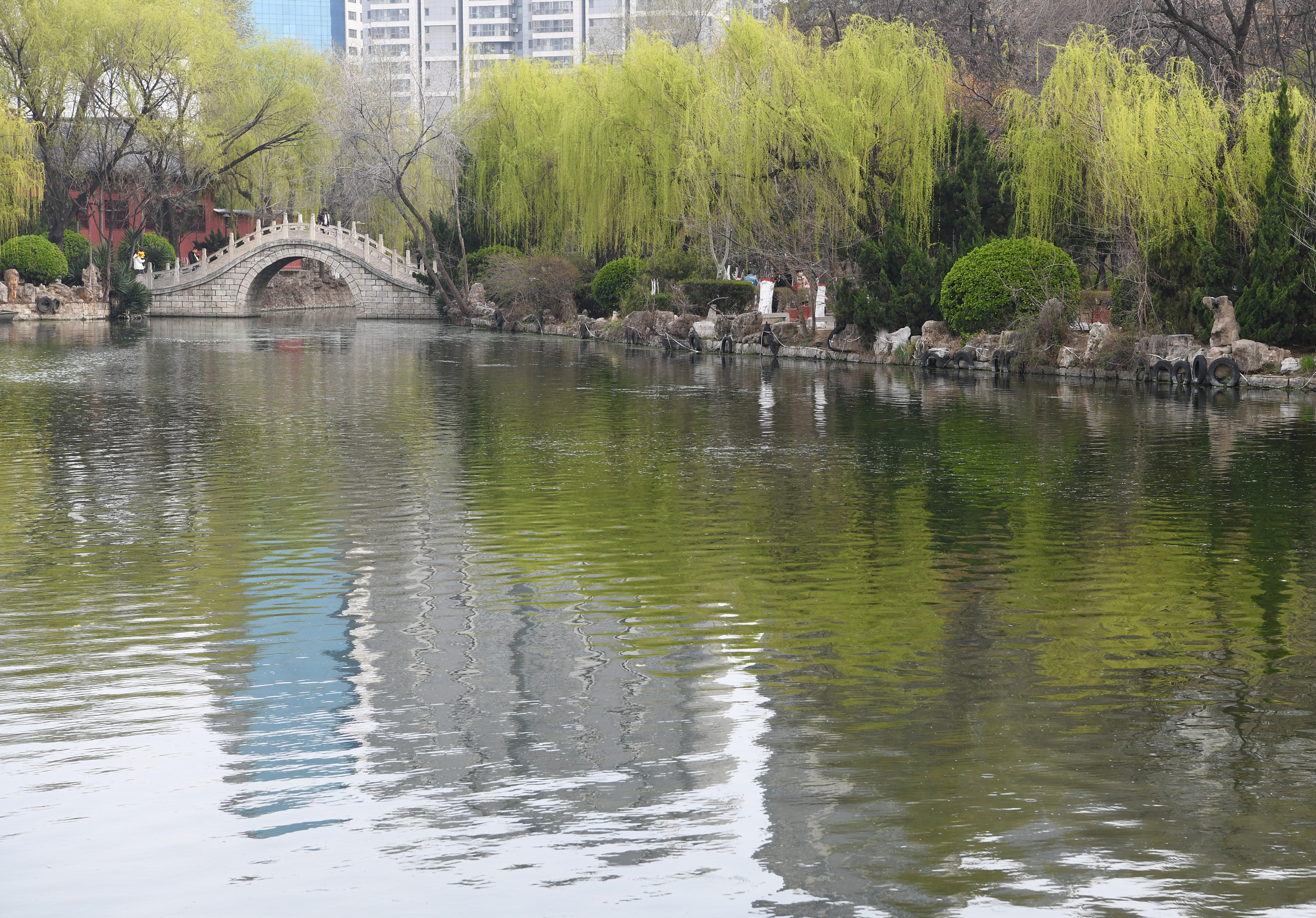 3-Day Tengzhou Tour: Explore Mozi Memorial Hall's cultural heritage, Weishan Lake Wetlands' scenic beauty