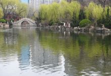 荆河公园景点图片