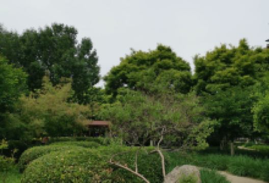 嘉泰公园景点图片