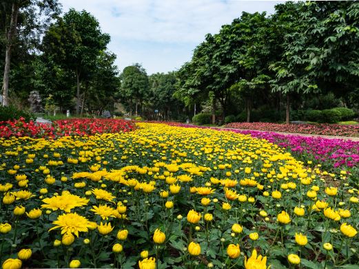 南宁市花卉公园
