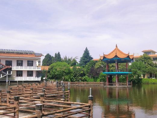 杏林大观园