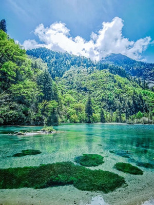 火了！人间天堂、理想国度，这才是6月阿坝州最佳旅行地！