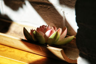 大理苍山寂照庵,半日游一碗素食,亦随遇而安!