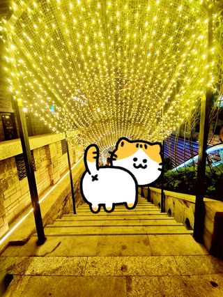 原住民就地打卡大鱼海棠重庆分棠：弹子石老街！