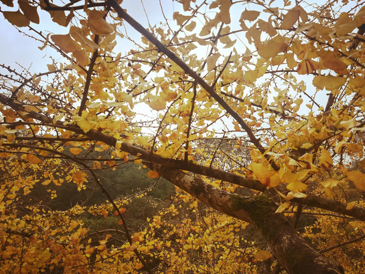 韶关南雄，醉美金秋跳坑之旅