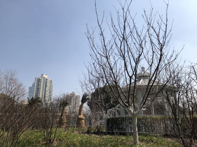 曲阳公园旅行图片 1
