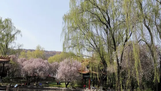 劉家灣公園