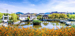 台州游记图片] 水韵田园 诗画路桥