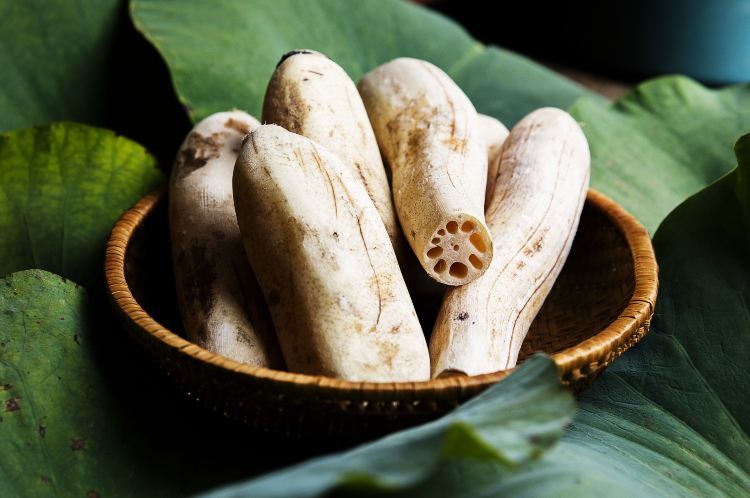 White Rattan Lotus Roots