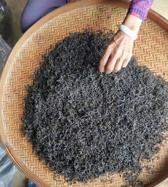 苍梧游记图片] 罗桂彬农家六堡茶迎来旺销