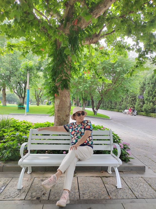京顺园公园旅行图片 3