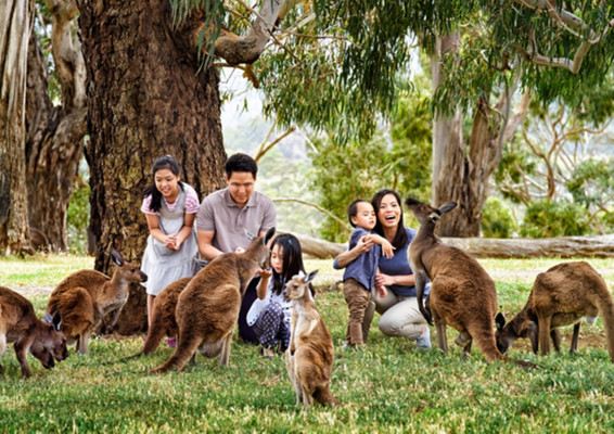 以家人之名，在南澳大利亚开启一场温馨美满的家庭之旅