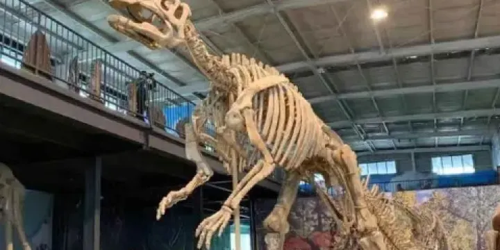 諸城中國暴龍館