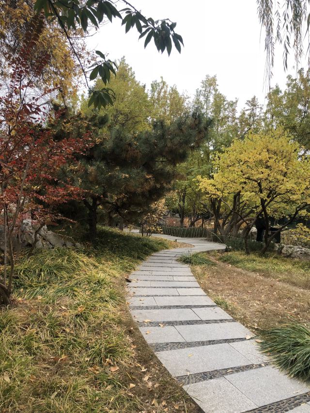 宣武艺园旅行图片 3