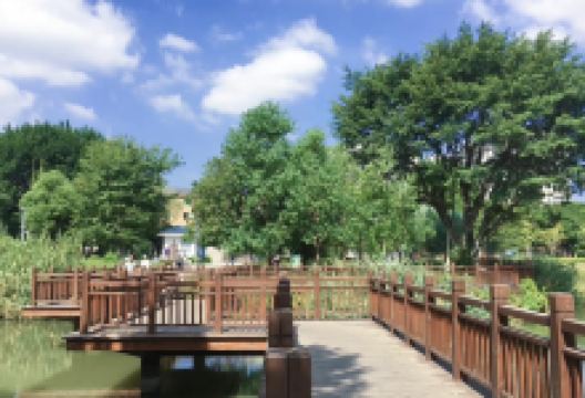 冰心公园景点图片