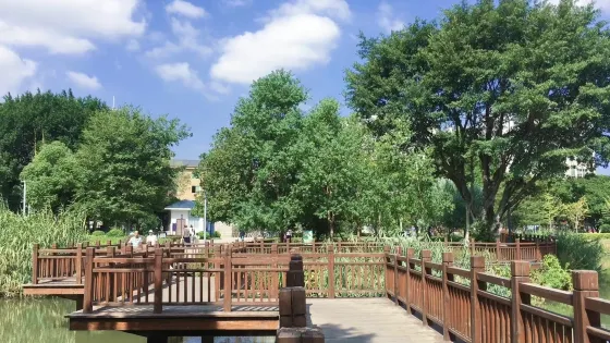冰心公園