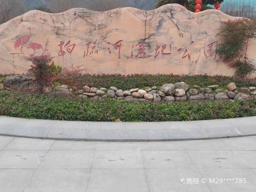 柏临河湿地公园