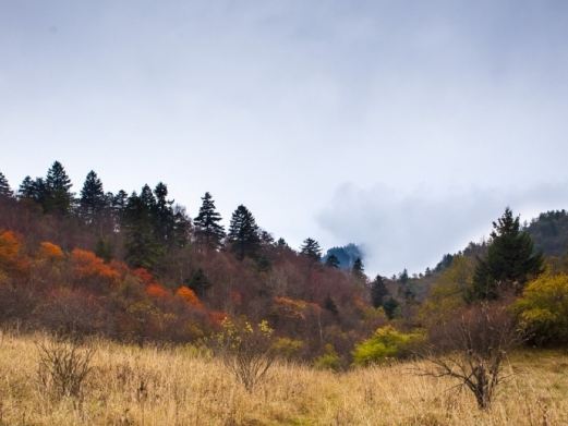 平河梁森林公园