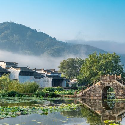 黄山风景区+婺源+宏村景区4日3晚跟团游