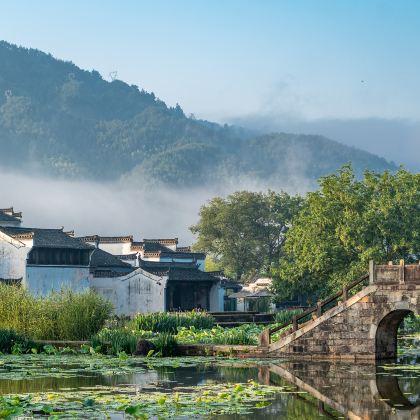 呈坎+西递+宏村景区+屯溪老街2日1晚跟团游