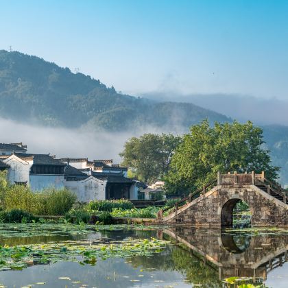 黄山风景区+婺源+宏村景区4日3晚跟团游