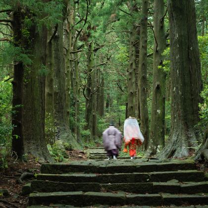 日本大阪+白滨町+熊野古道5日4晚私家团