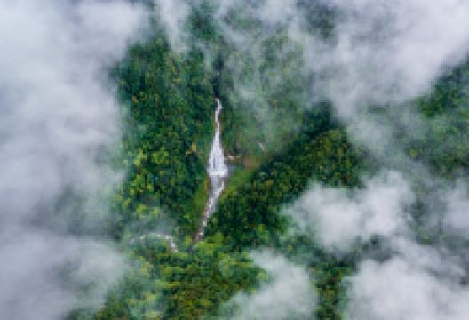 云南哀牢山国家级自然保护区景点图片