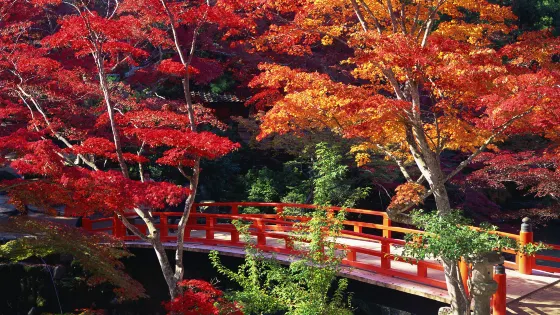 紅葉谷公園