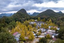 海洋乡大桐木湾村景点图片