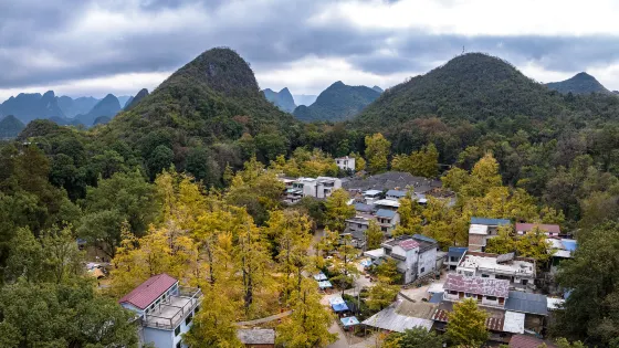 大桐木灣村