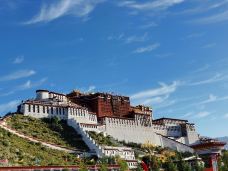 布达拉宫白宫-拉萨-人在旅途✈︎