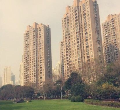 丽园公园旅行图片 1
