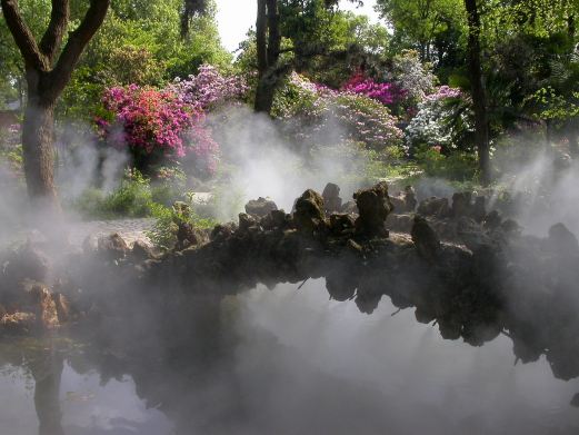 武汉植物园