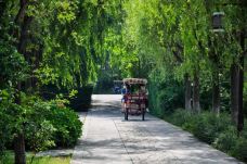 苏州太湖国家湿地公园-苏州-YoYo_4G7M3Q7D