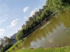 溱湖国家湿地公园-泰州-Lavender and Sun