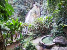 樱花谷-腾冲-梦中草枫