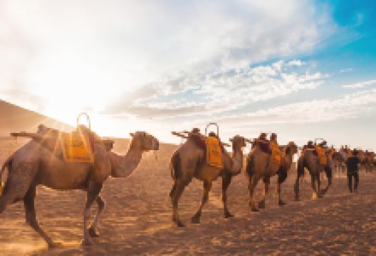 冷湖镇旅游图片-8天-西宁+乌兰+海西+阿克塞+敦煌