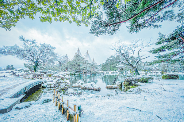 探访日本中部秘境邂逅雪中的童话世界冬日绝景