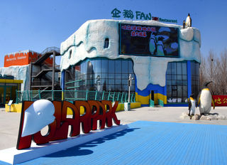 黑龙江旅游:走进哈尔滨海洋极地公园(图)