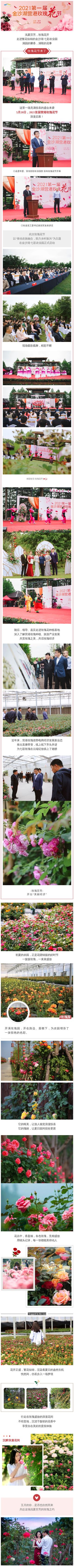 2021首届营港玫瑰花节，520浪漫启幕！