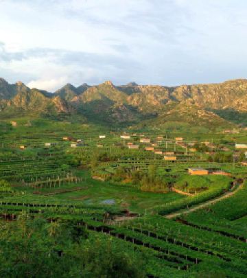 南戴河仙螺岛度假区游记图文-昌黎葡萄沟农家院--昌黎葡萄沟小胖庄园