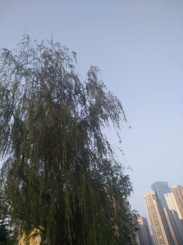 青岛市海泊河公园旅行图片 3
