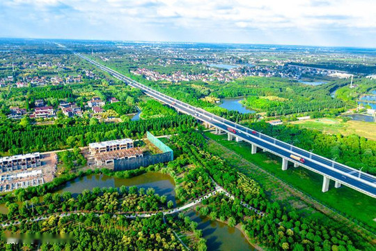 上海崇明-朴实无华的海岛民宿-太适合度假了