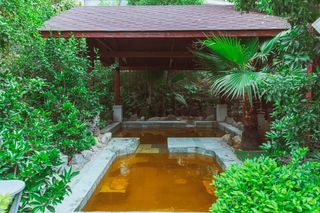 礼遇教师节,昆明金殿后山森林温泉又“放价”,性价比翻倍