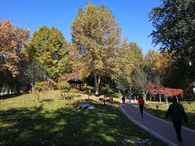 水上公园旅行图片 3