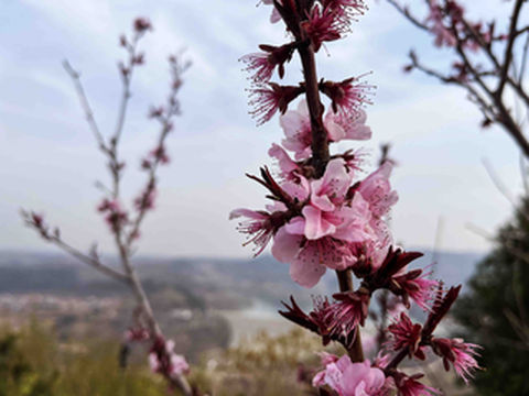 昆玉山 || 在不能云游四海的日子里，来云游昆玉山！