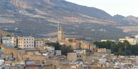 梅克內斯阿拉伯人區