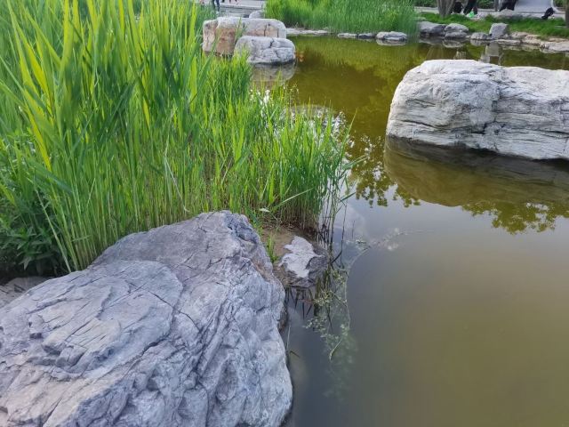 大望京公园旅行图片 1